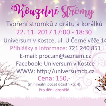 Tvoření pro děti i dospělé: Kouzelné stromy